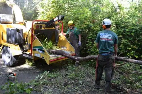 tree services Cadwell